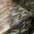 Oribotics [Network] - Detail